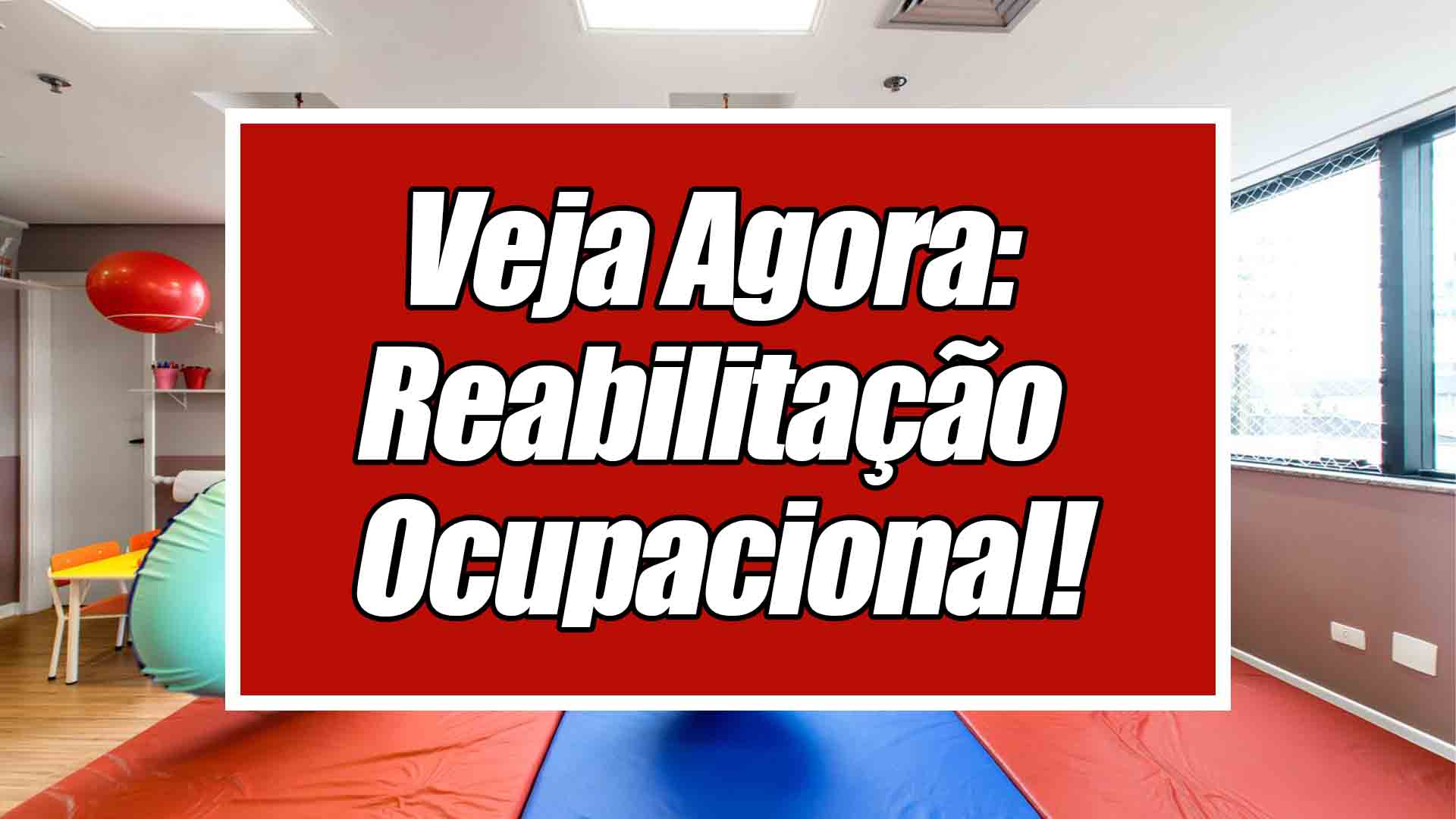 reabilitação profisisonal
