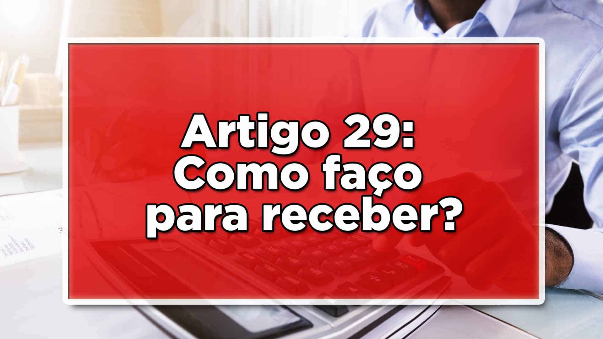 Artigo 29
