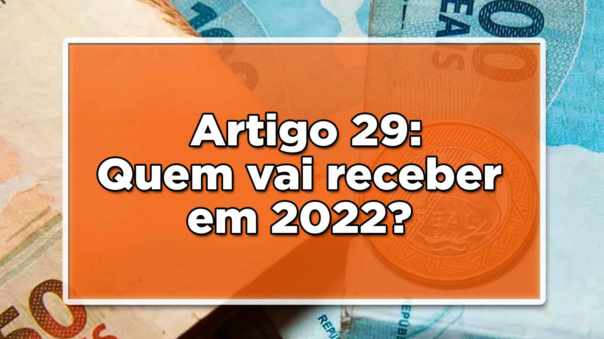 Artigo 29
