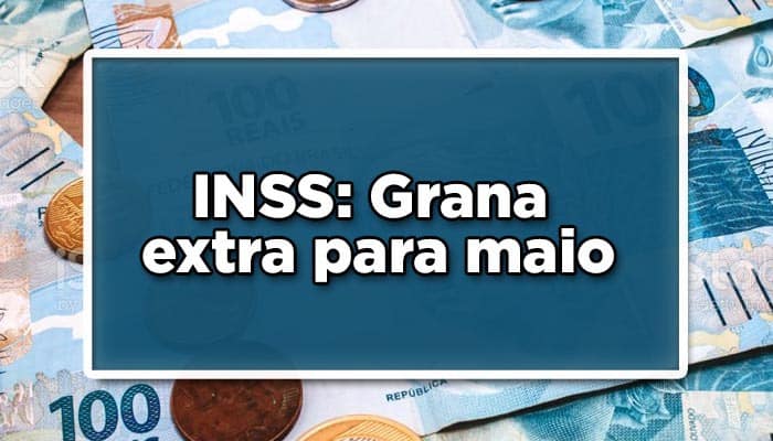 artigo 29