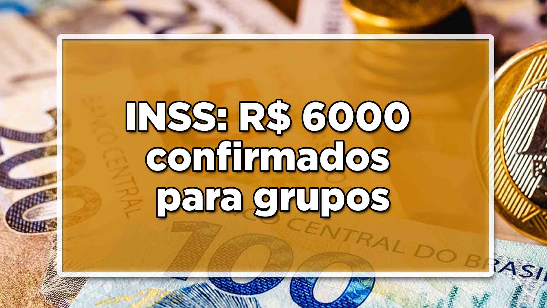 artigo 29