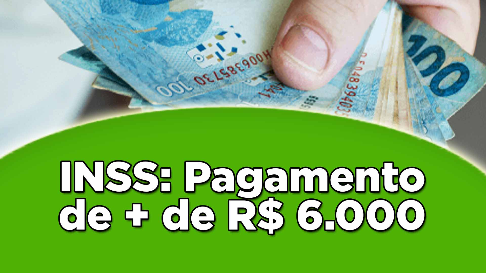 artigo 29