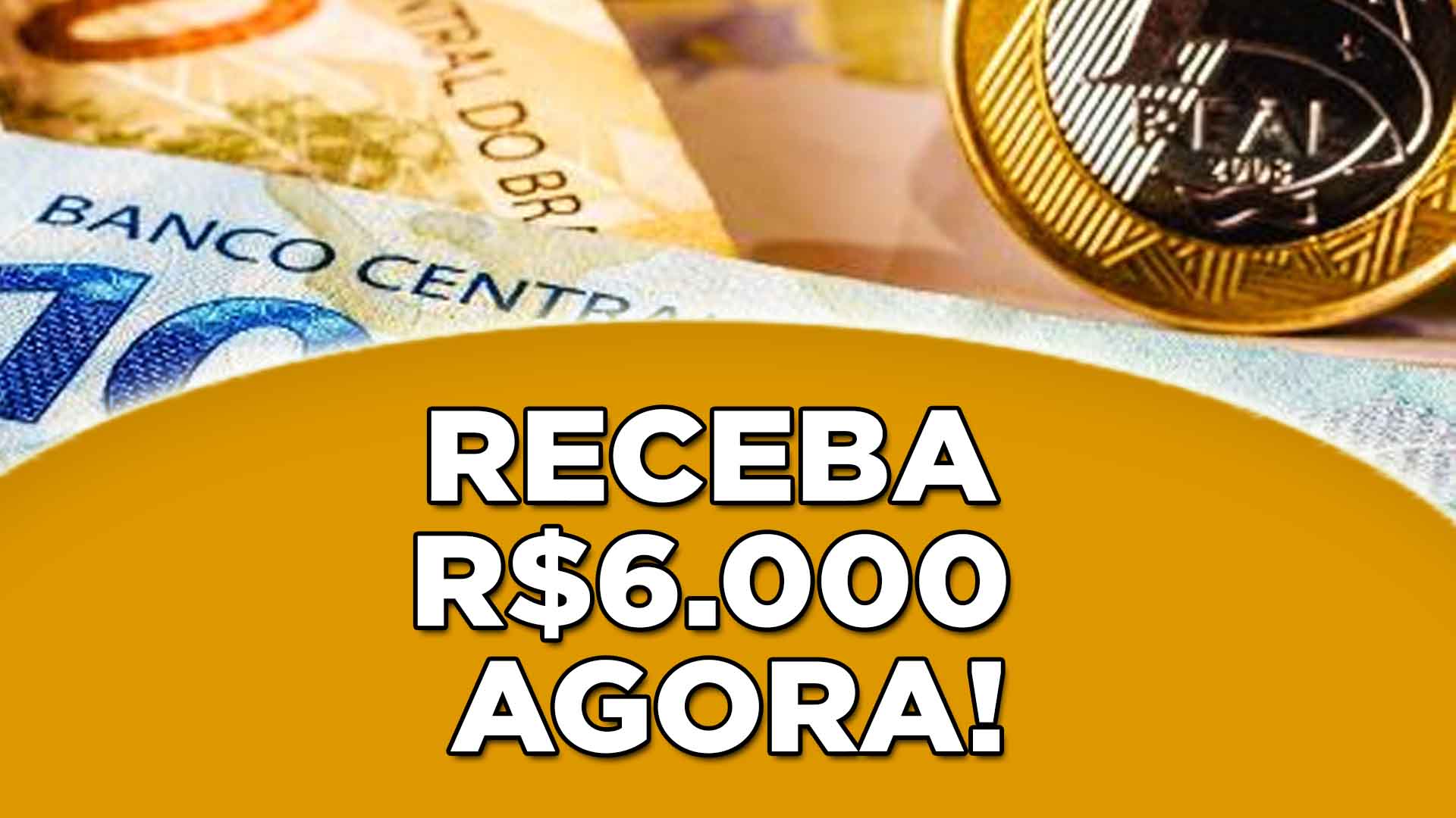 Artigo 29