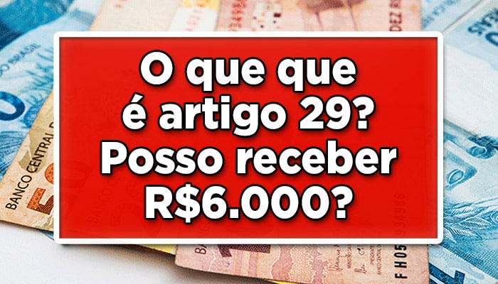 Artigo 29