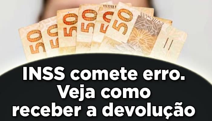 revisão artigo 29