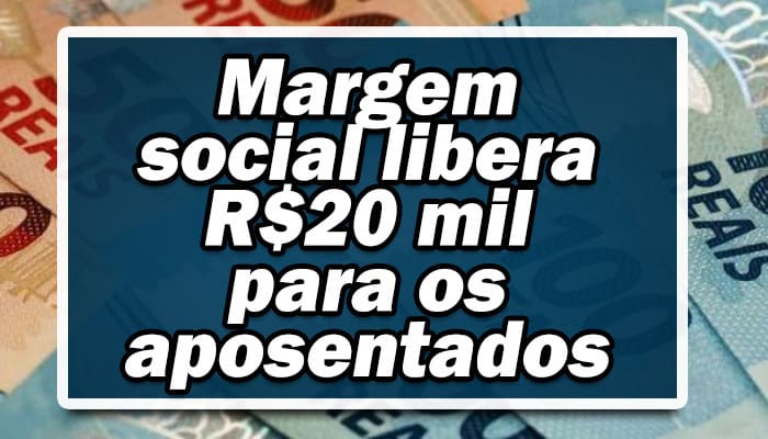 Margem social