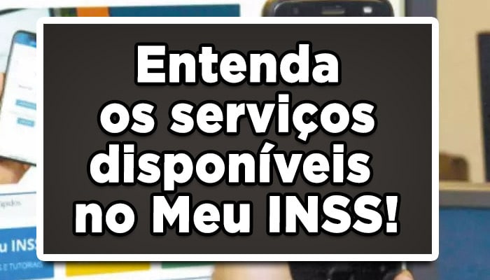 Entenda-os-serviços-disponíveis-no-Meu-INSS!