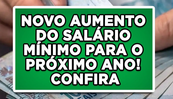 Novo aumento do salário mínimo para o próximo ano! Confira