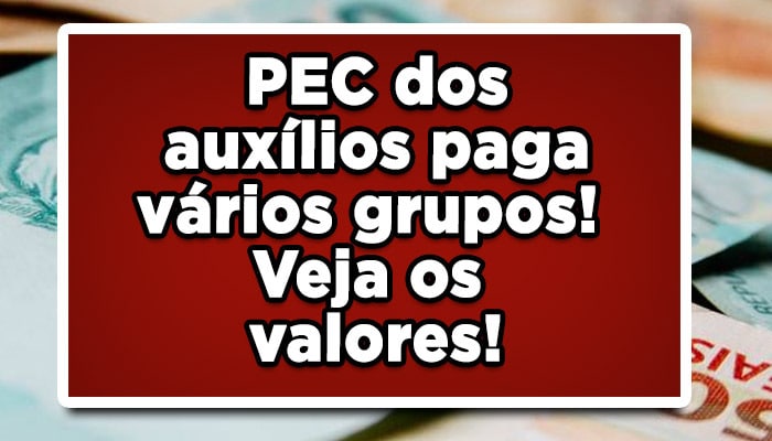 PEC dos auxílios paga vários grupos veja valores