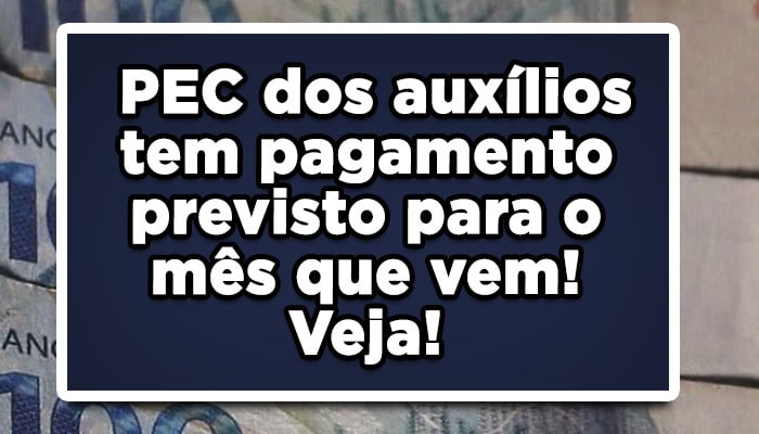 PEC dos auxílios tem pagamento previsto para o mês que vem veja