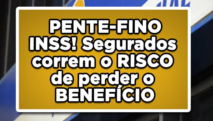 Pente-fino INSS