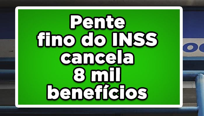 Pente fino do inss