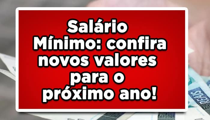 Salário Mínimo: confira novos valores para o próximo ano!