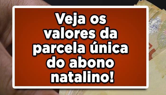 abono natalino INSS