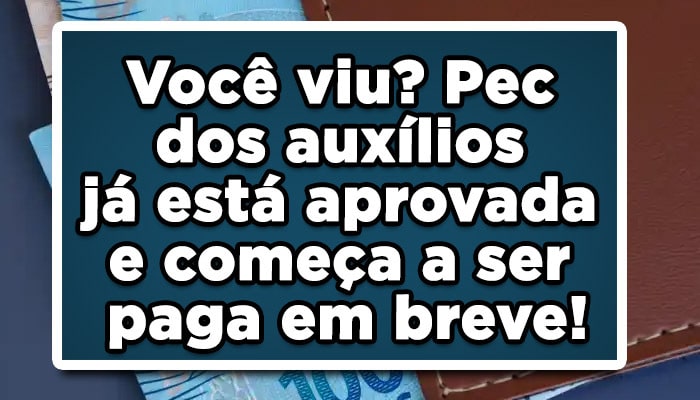 nova pec dos auxílios aprovada começa a ser paga em agosto
