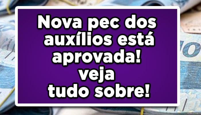 pec dos auxílios está aprovada veja tudo sobre