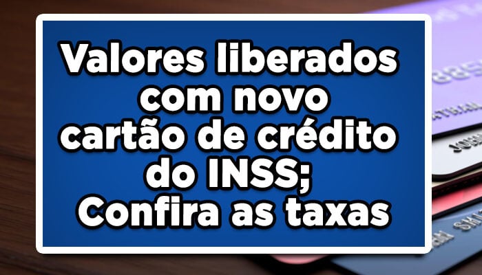 Valores liberados com novo cartão de crédito do INSS; Confira as taxas