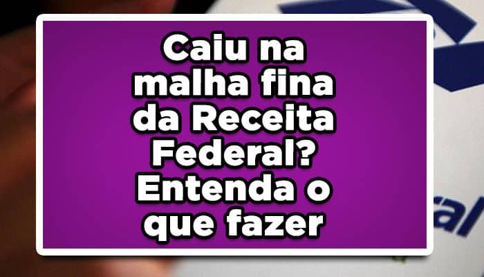 Malha fina