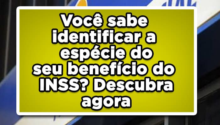Benefício do INSS