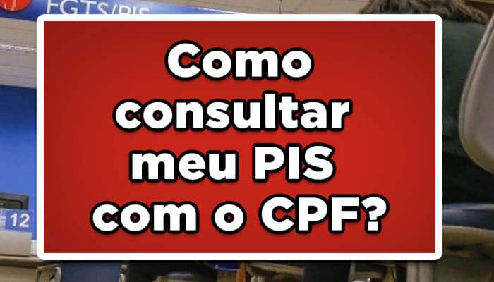 Como consultar meu PIS