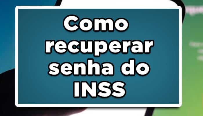 senha inss