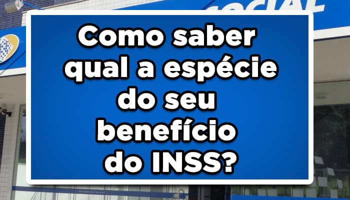 Como saber qual a espécie do seu benefício do INSS?