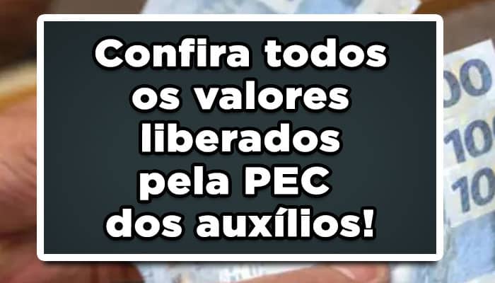 Quer saber todos os benefícios liberados pela PEC dos Auxílios? Veja aqui os valores liberados para os beneficiados!