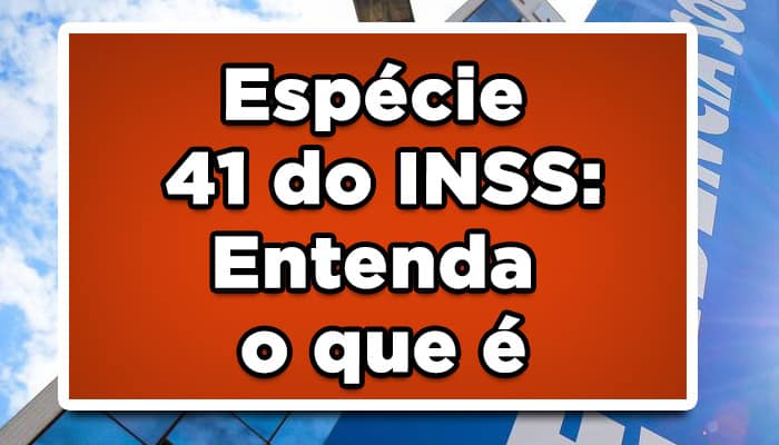 Espécie 41 do INSS