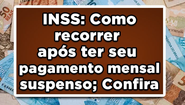 INSS: Como recorrer após ter seu pagamento mensal suspenso; Confira