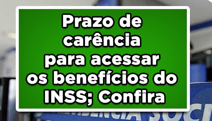 Prazo de carência para acessar os benefícios do INSS