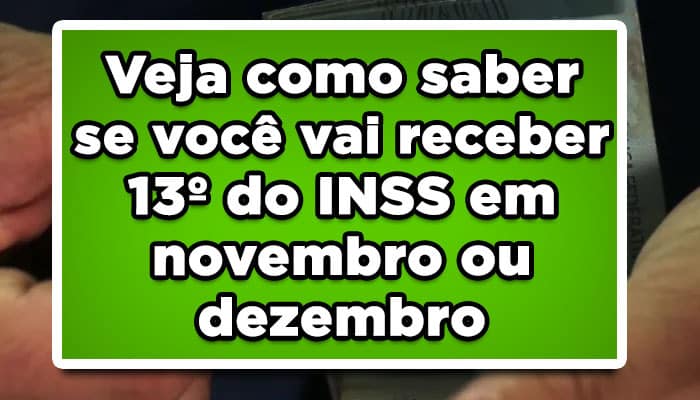 Veja como saber se você vai receber 13º do INSS em novembro ou dezembro