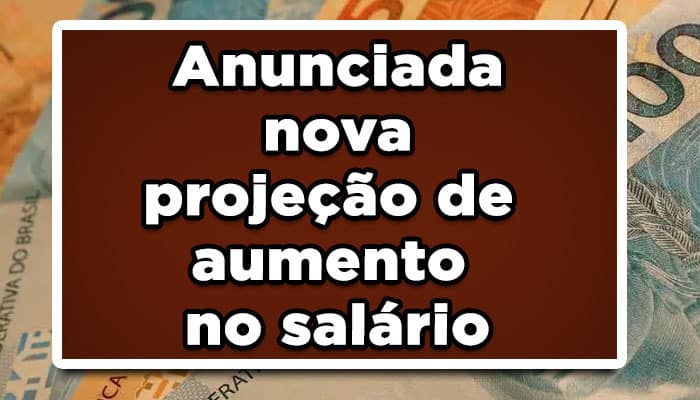 Novo salário mínimo
