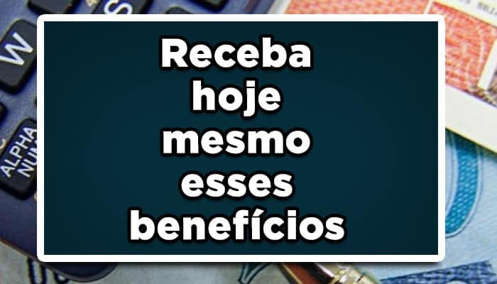 direito dos idosos