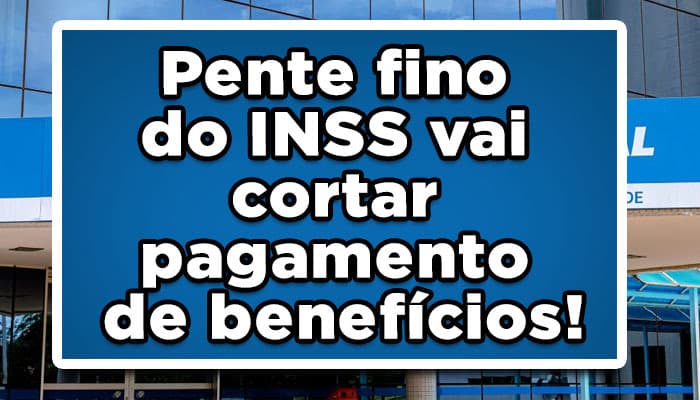 Pente fino do INSS
