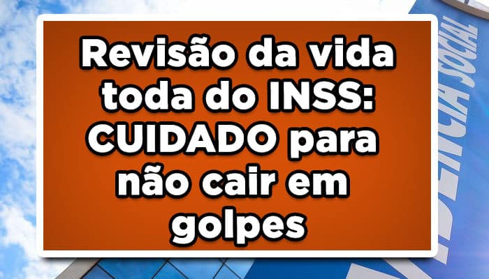 revisão da vida toda indd