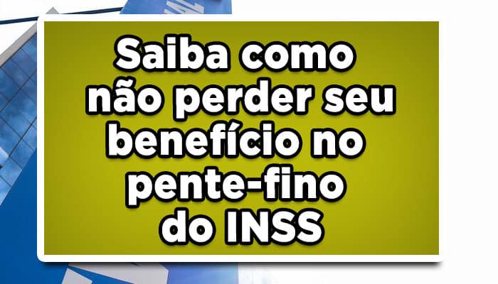 Saiba como não perder seu benefício no pente fino do INSS