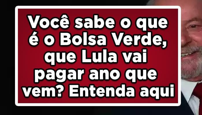 O que é o bolsa verde do governo federal