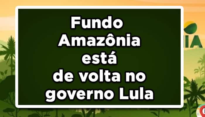 Fundo Amazônia