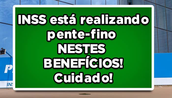 Pente-fino INSS