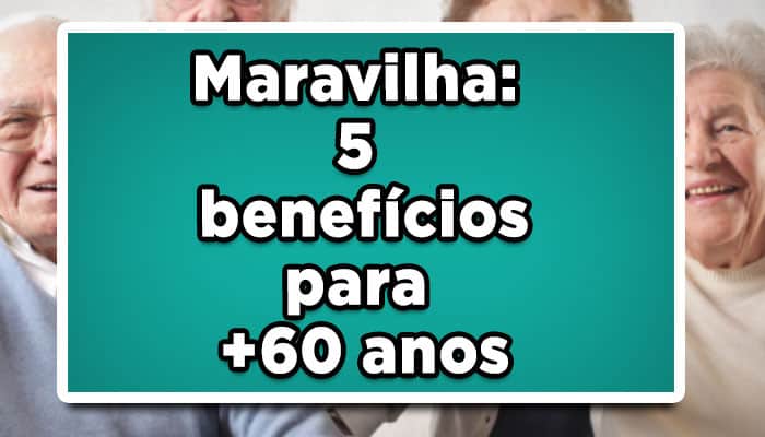direitos dos idosos