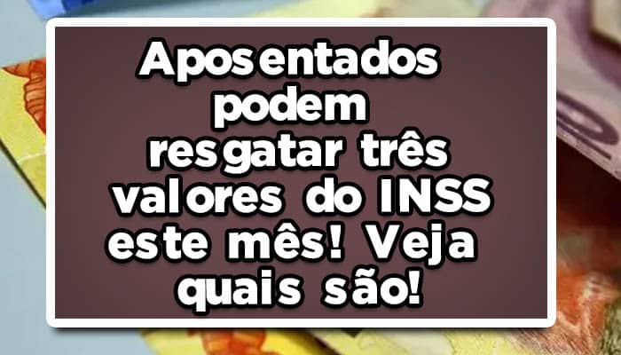 INSS fevereiro