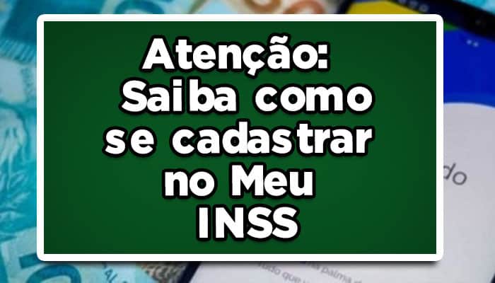 Meu INSS