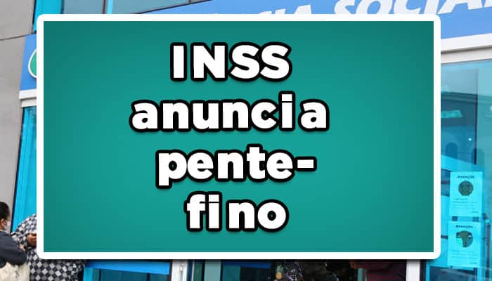 Pente fino INSS