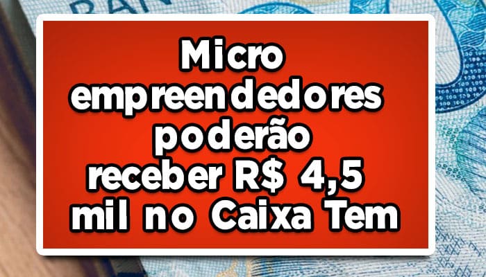Microempreendedores
