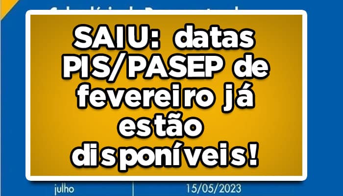 pis pasep fevereiro