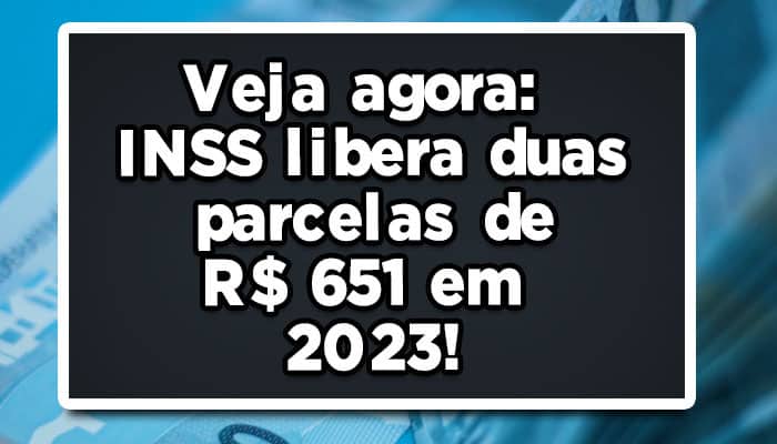 Veja agora: INSS libera duas parcelas de R$ 651 em 2023!