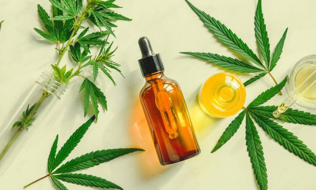 Uso Medicinal da Cannabis! (Fonte: Reprodução Google)