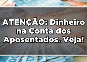 Veja como funcionam as cotas PIS PASEP
