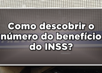 Descubra como consultar o número do benefício do INSS!