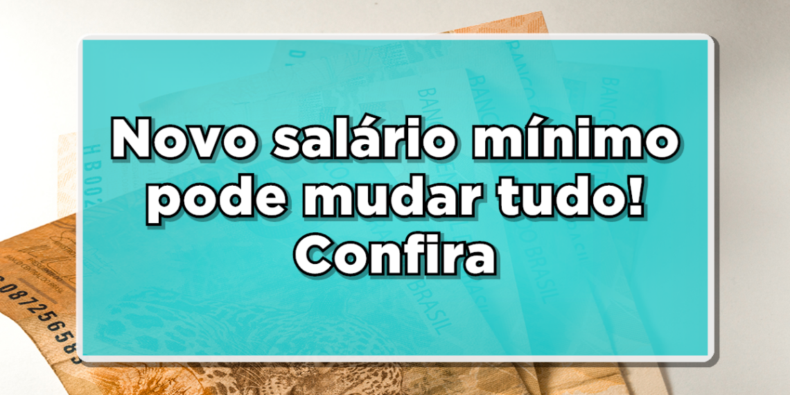 Confira qual será o qual será o valor do novo salário mínimo em 2025!